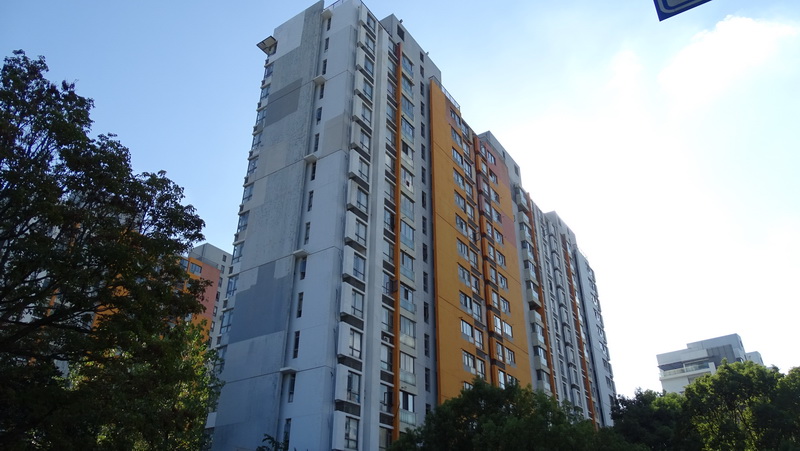 上海-浦东新区-秀沿路1028弄2支弄89号1001室住宅房