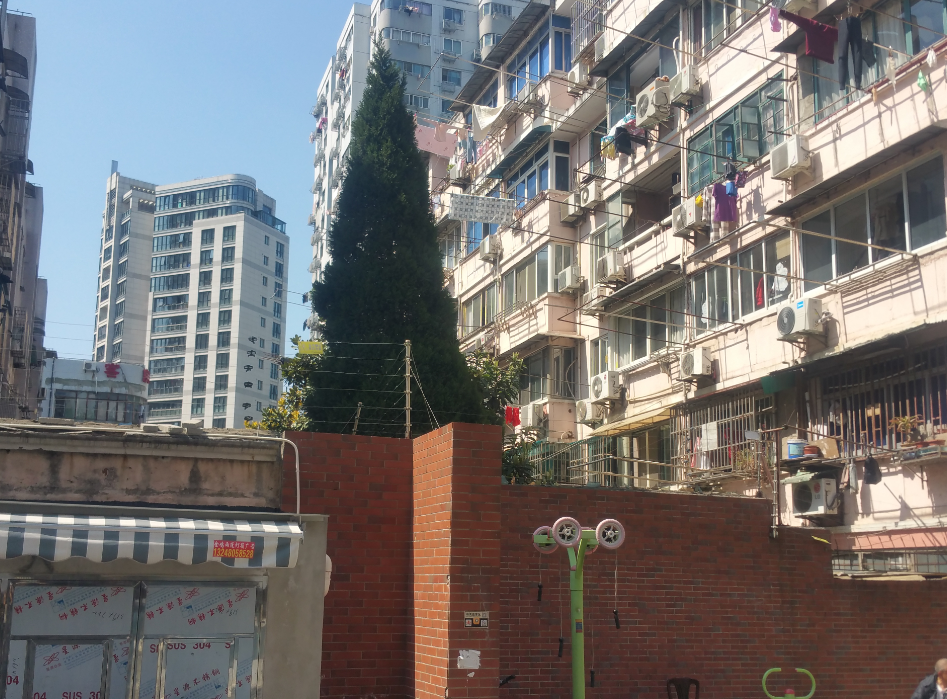 上海-浦东新区-微山新村58号405室